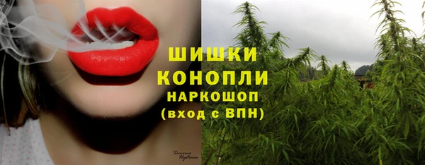 МДМА Ельня