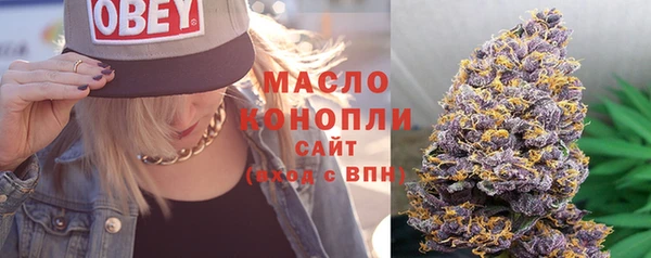 МДМА Ельня