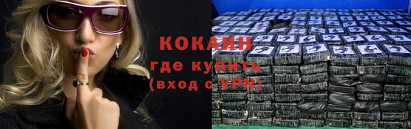 МДМА Ельня
