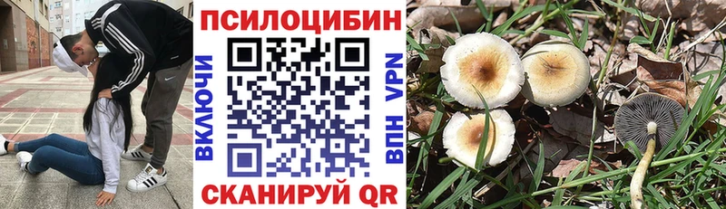 Псилоцибиновые грибы GOLDEN TEACHER  Калач 